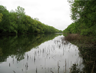 Весенний Слет "СЕЙМ-2018"