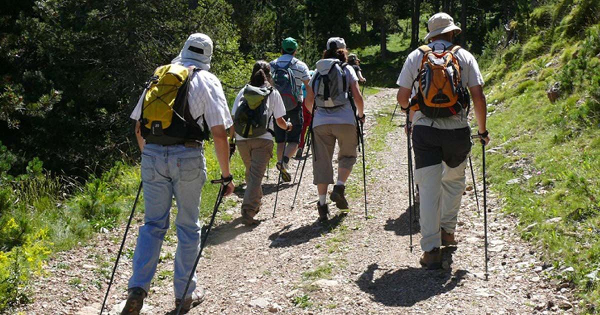 Советы по выбору и эксплуатации треккинговых палок