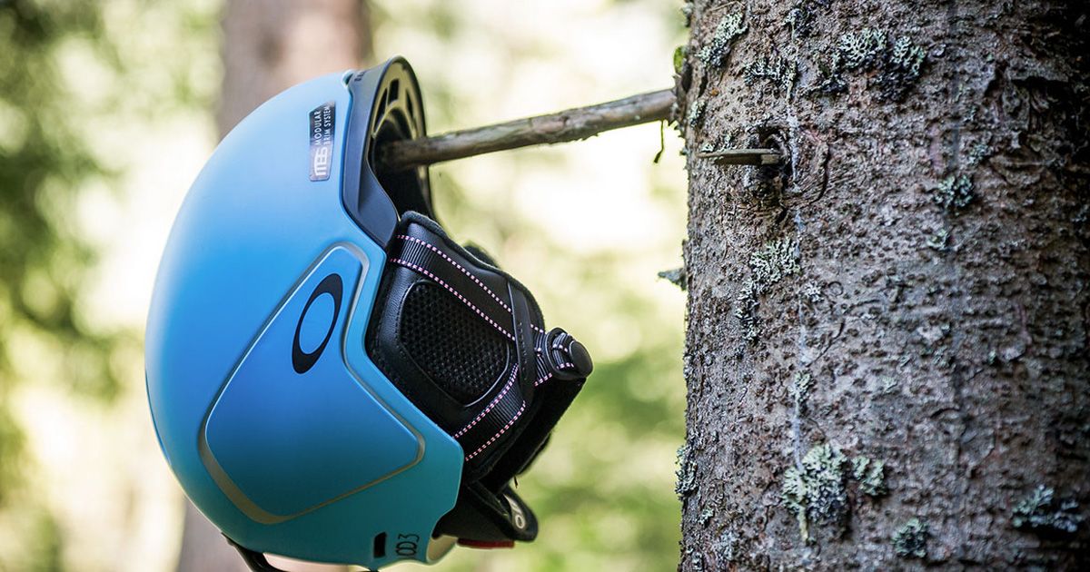 защита лыжи_3.jpg