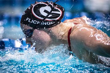 Полное обновление Arena- все для бассейна