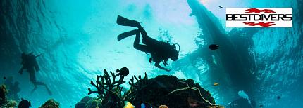Поступление Best Divers