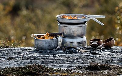 Новинка! Шведский бренд снаряжения для полевой кухни Trangia 
