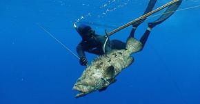 5 товаров для незабываемой подводной охоты