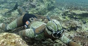 Снаряжение для подводной охоты