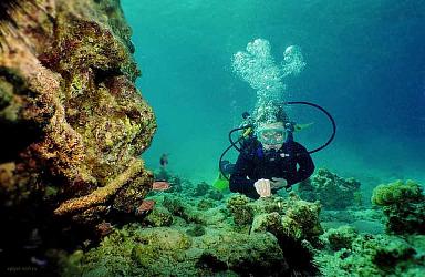 BS DIVER Регулятор "DEEP ICE II" (мембранный, сбалансированный, 300 Бар) (made in Italy)