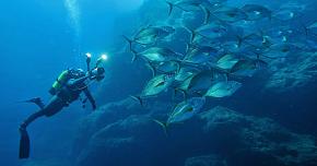 Выбор фонаря для погружения под воду