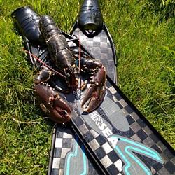 Фантастическая новинка этого года - ласты С 4 пластиковая лопасть