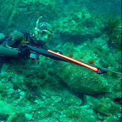 Новинка от С4! Арбалеты GLADIUS от 85 до 115 длины