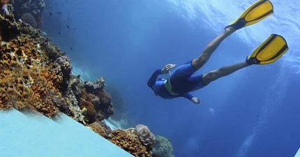 Ласты, для всех видов дайвинга