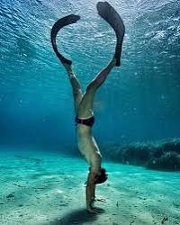 Ласты  C4 SURFER - новинка сезона