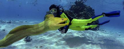 Новинка гидрокостюм лайкра MARES PHOTO