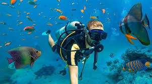 ТОП 10 вещей, которые нужны для начала дайвинга