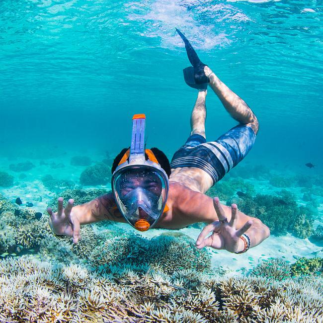 Поступление масок SEAC SUB UNICA