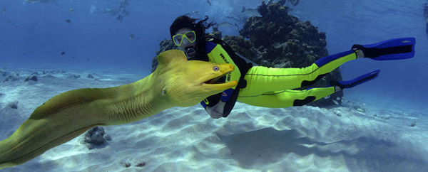 Новинка гидрокостюм лайкра MARES PHOTO