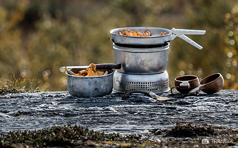 Новинка! Шведский бренд снаряжения для полевой кухни Trangia 