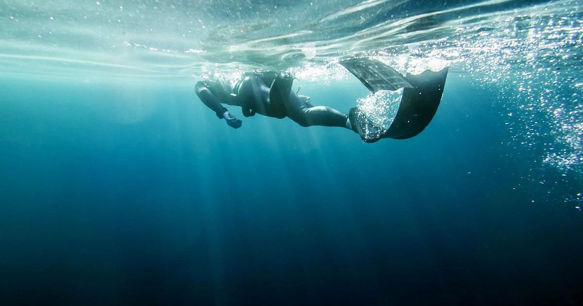 Ласты для подводной охоты