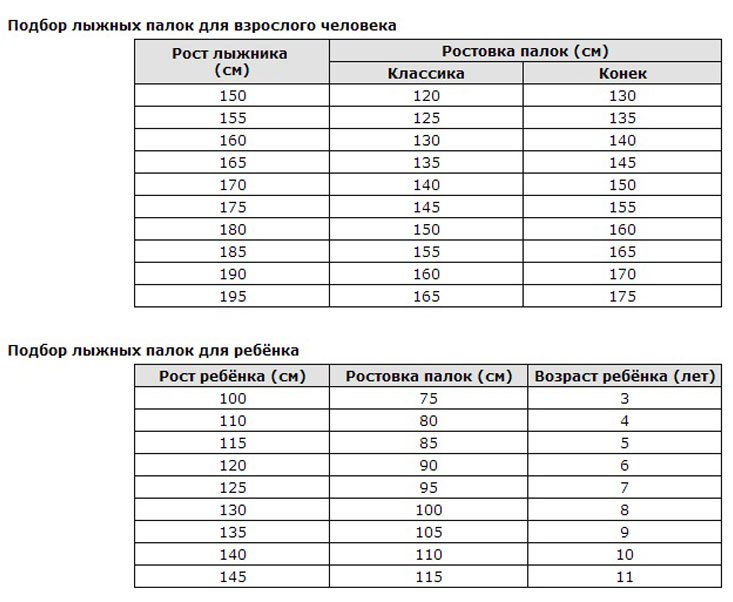 Как-выбрать-лыжные-палки (1).jpg