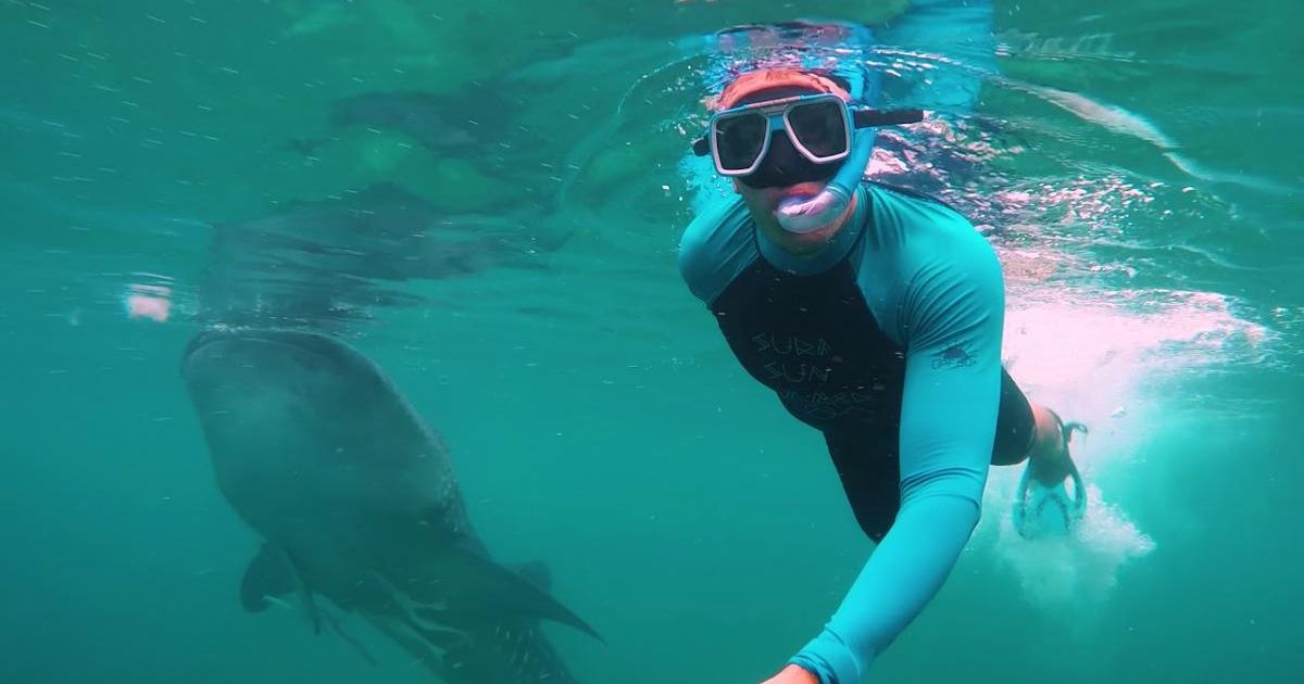 Гидрокостюм для сноркелинга