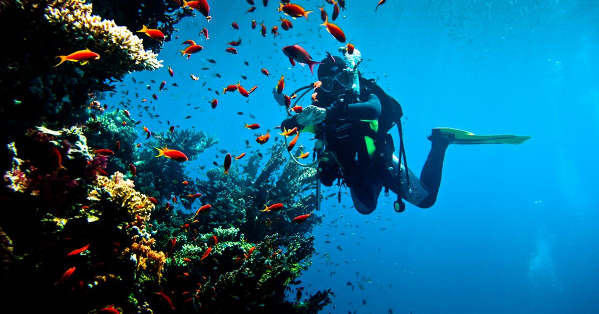 баллоны _ 2.jpg