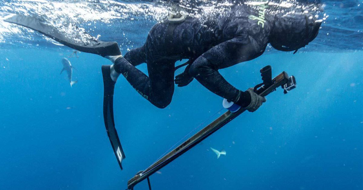 подводная охота.jpg