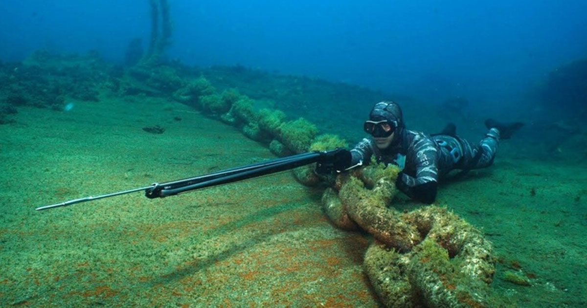 линь подвох.jpg