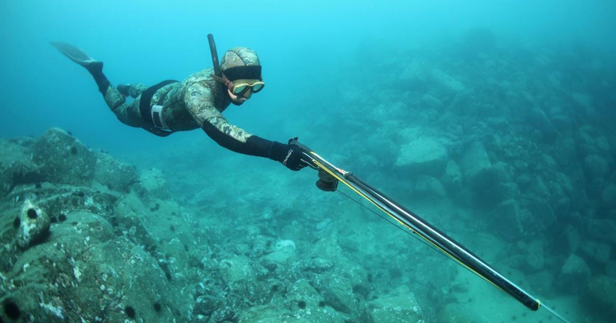 лыжи для под.jpg