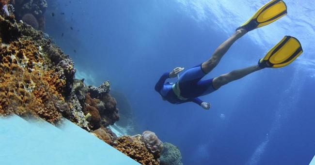 Ласты, для всех видов дайвинга