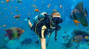 ТОП 10 вещей, которые нужны для начала дайвинга