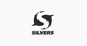 Размерная сетка Silvers