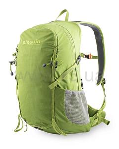 PINGUIN Ride 25 2020